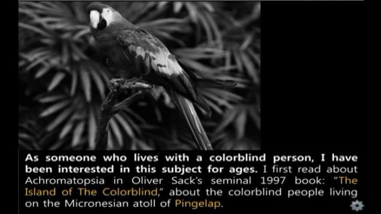 pingelap island of the colorblind essay pingelap island of the colorblind essay