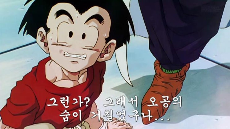 Hd고화질 자막 드래곤볼 마인부우 30화 다시보기 네이버 블로그